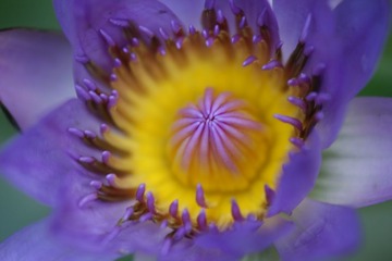 IMG_4711_副本.JPG