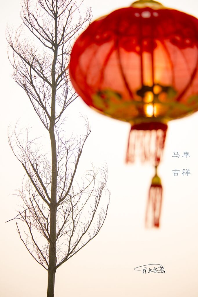 大红灯笼高高挂