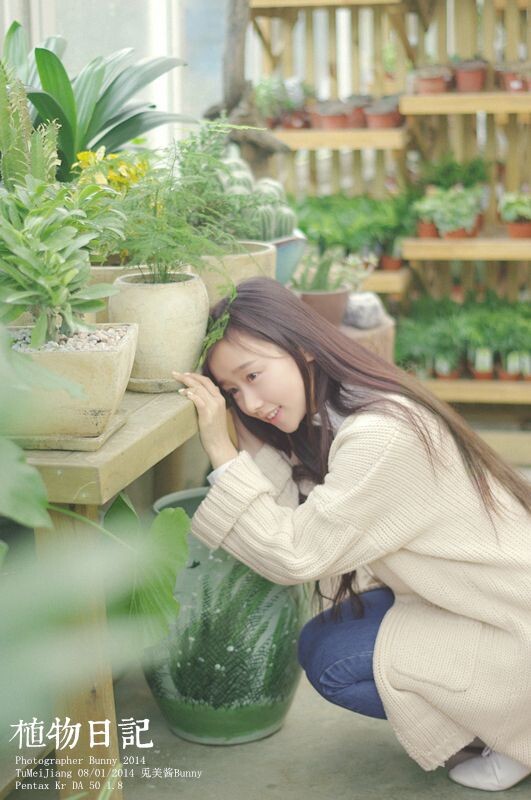 植物日记