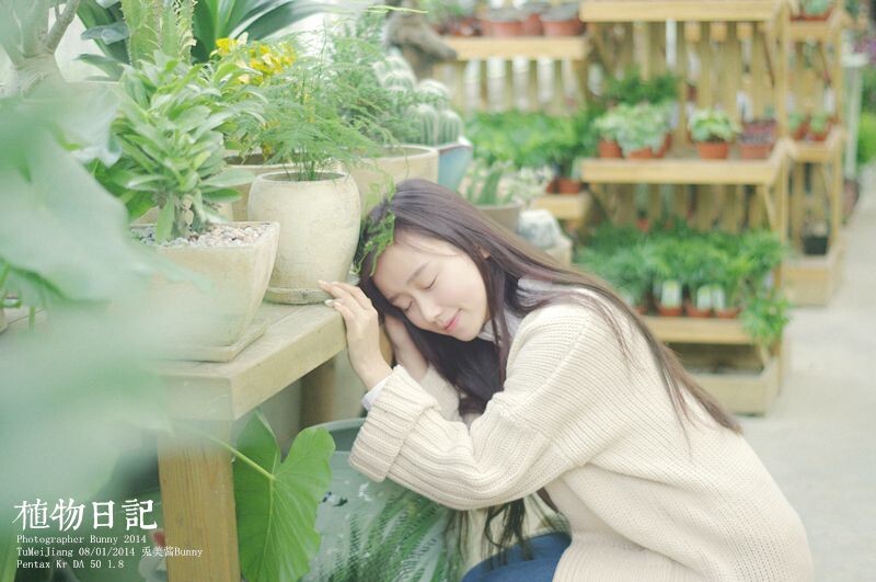 植物日记