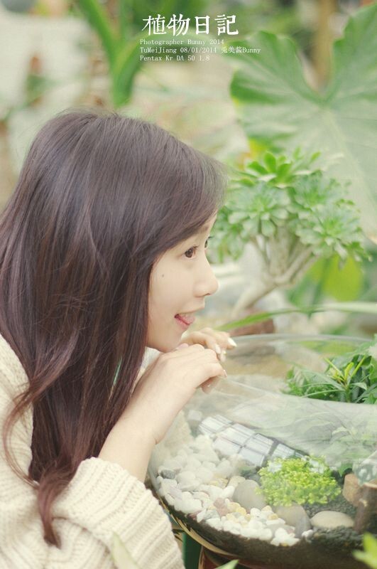 植物日记