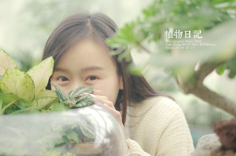 植物日记