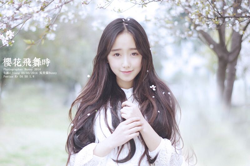 樱花飞舞时
