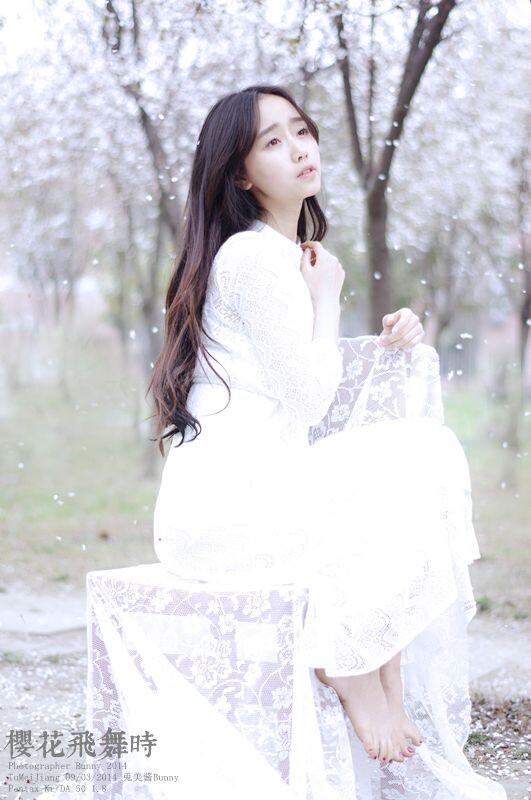 樱花飞舞时