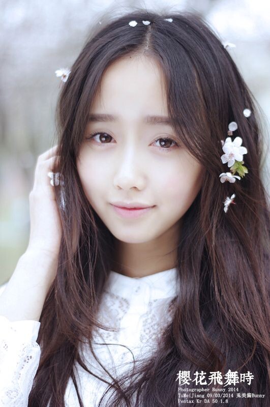 樱花飞舞时