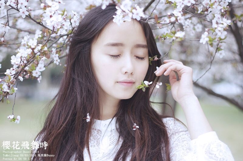 樱花飞舞时