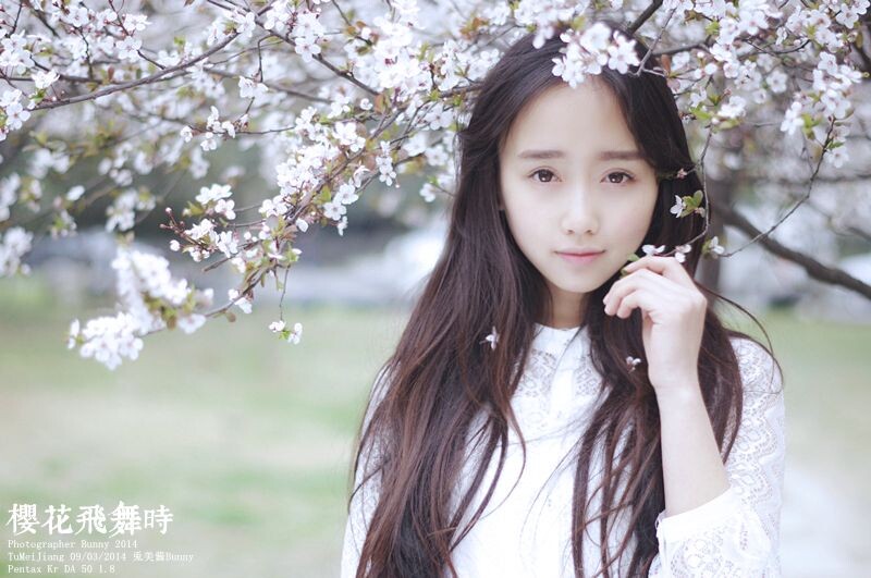 樱花飞舞时