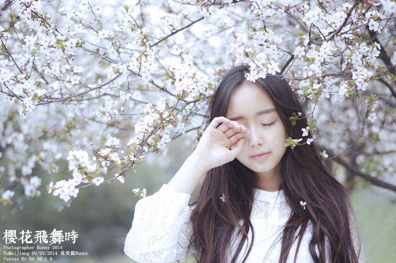 樱花飞舞时