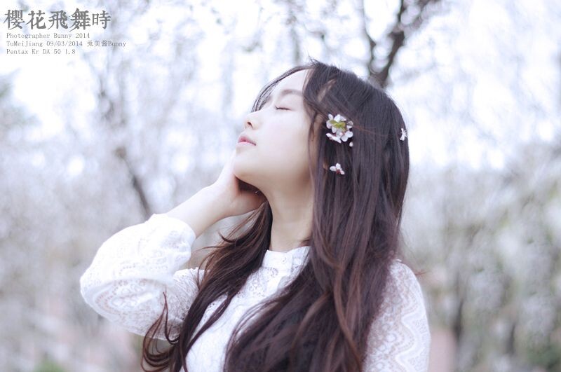 樱花飞舞时