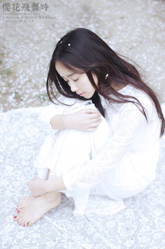 樱花飞舞时