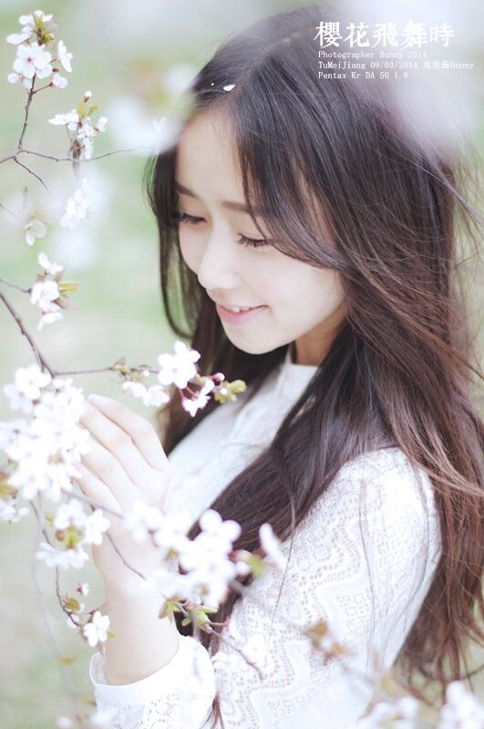 樱花飞舞时