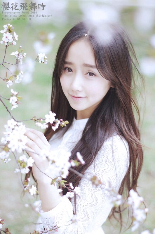 樱花飞舞时