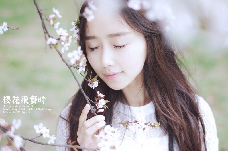 樱花飞舞时