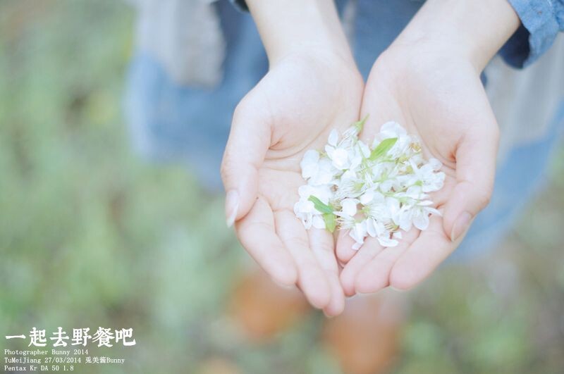 一起去野餐吧
