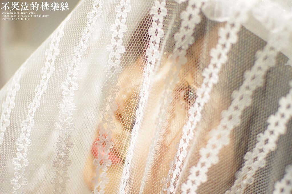 不哭泣的桃乐丝