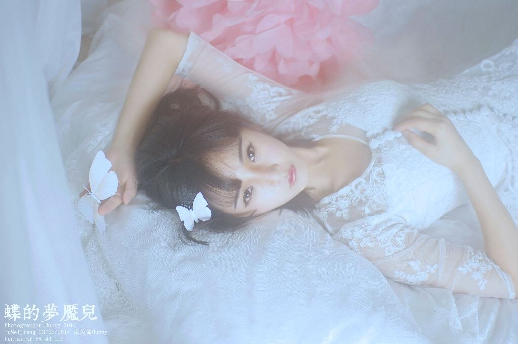 蝶的梦魇儿