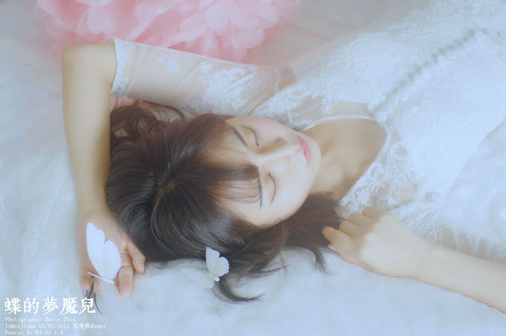 蝶的梦魇儿