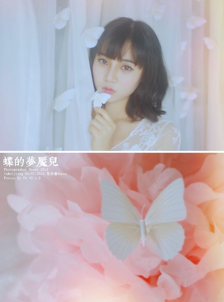蝶的梦魇儿