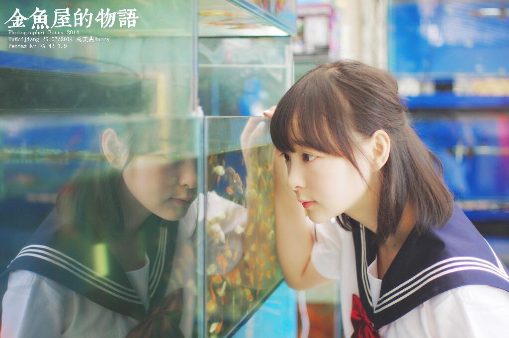 金鱼屋的物语