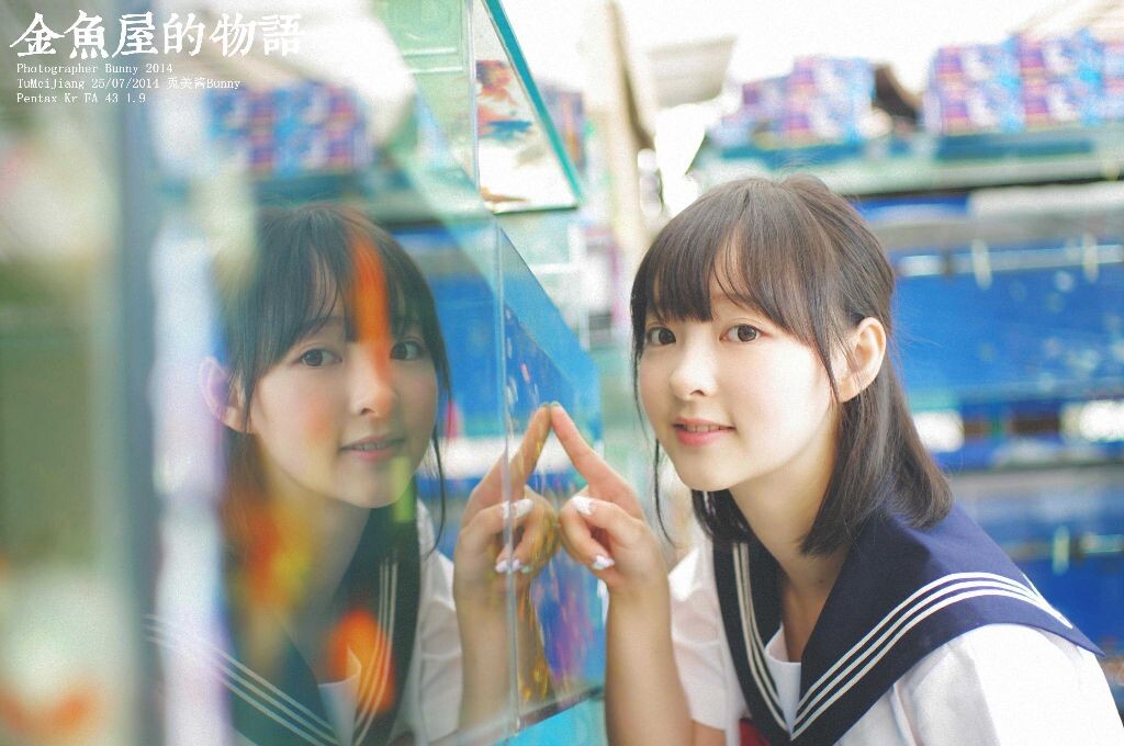 金鱼屋的物语