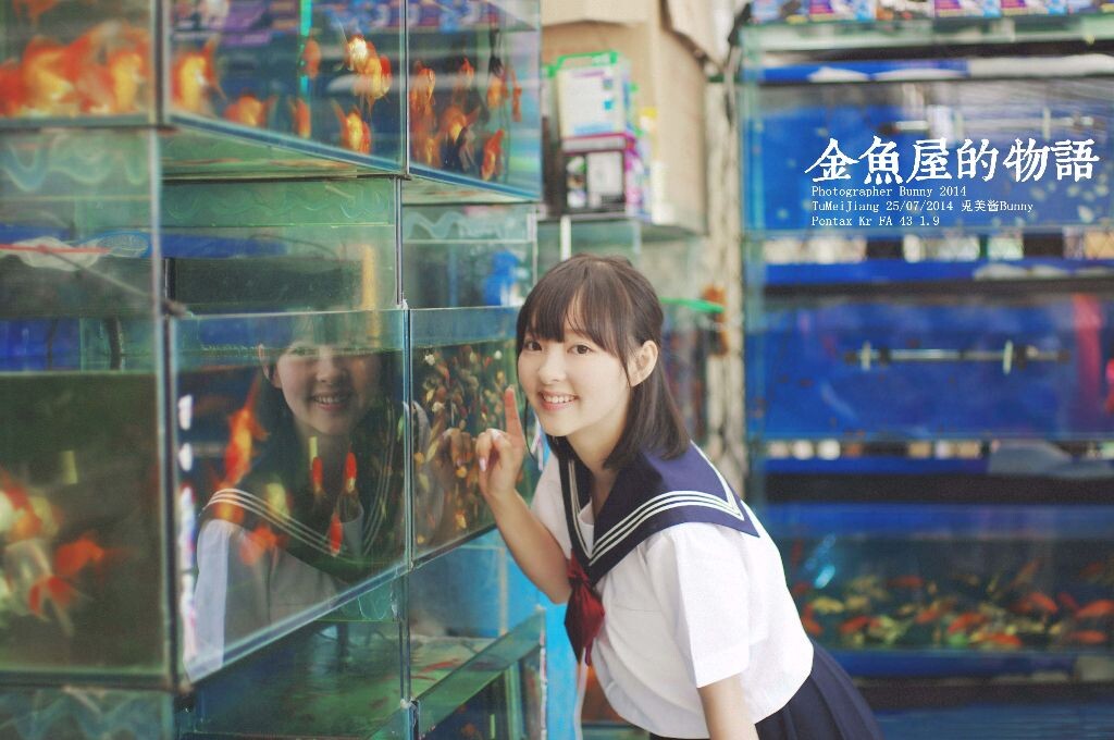 金鱼屋的物语