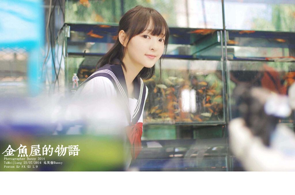 金鱼屋的物语