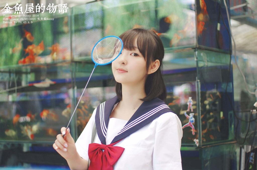 金鱼屋的物语