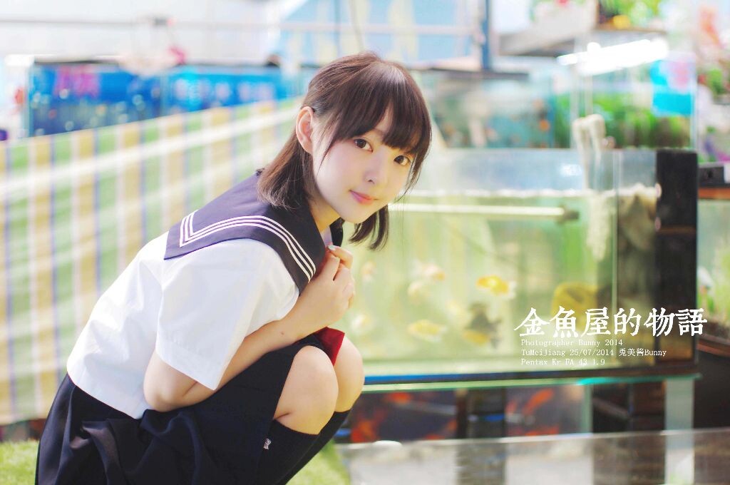 金鱼屋的物语