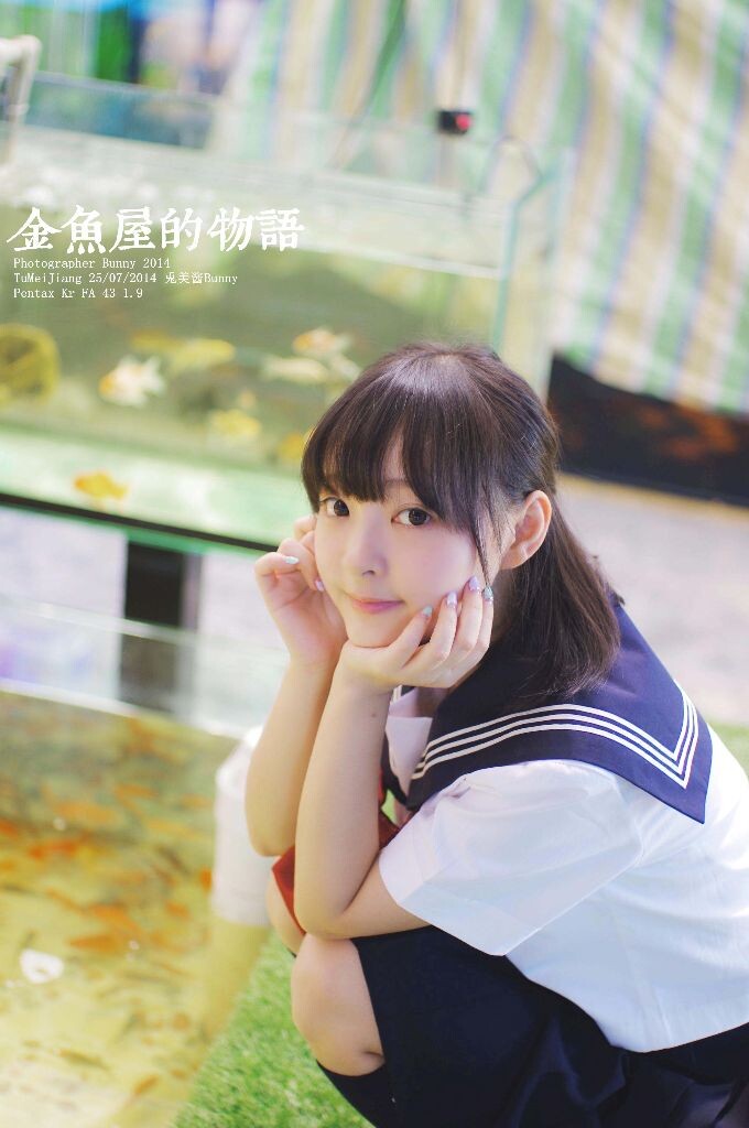 金鱼屋的物语