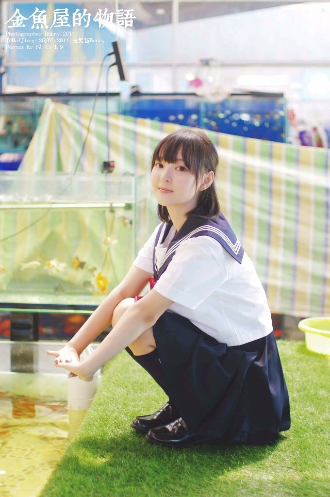 金鱼屋的物语