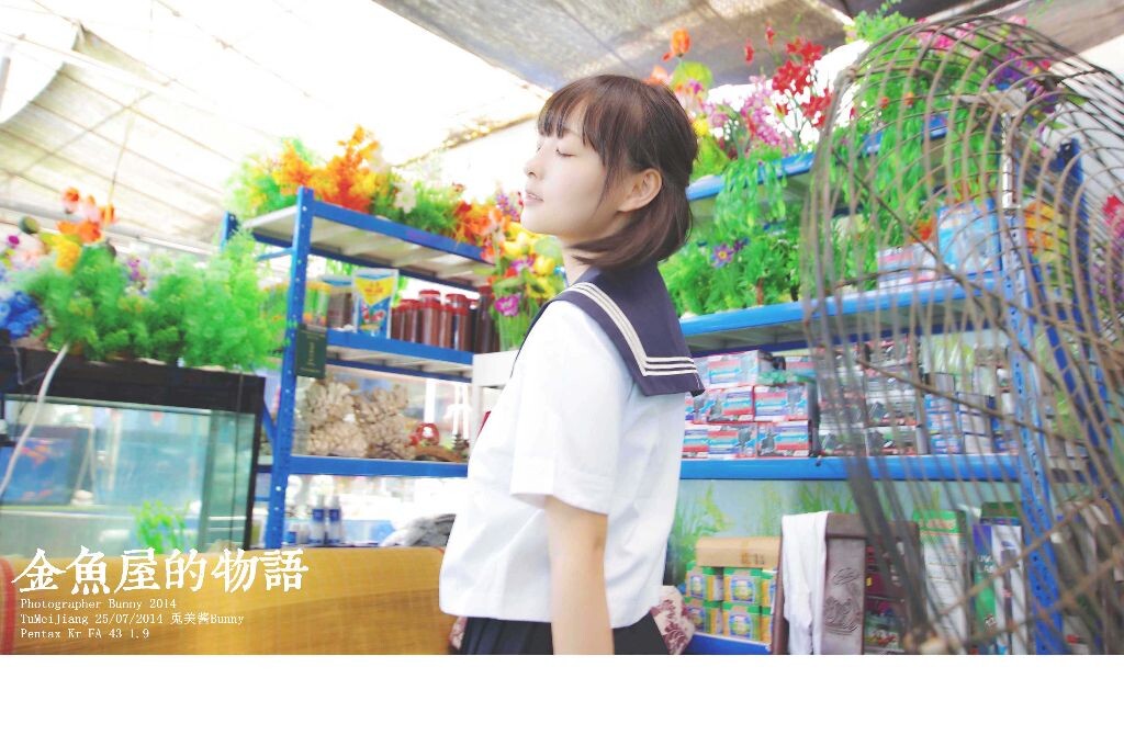 金鱼屋的物语