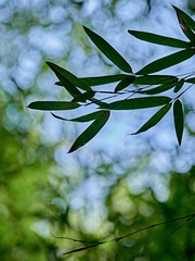 F196C292-6B9F-4DF7-B7C3-158BD1EA2239/L0/001
