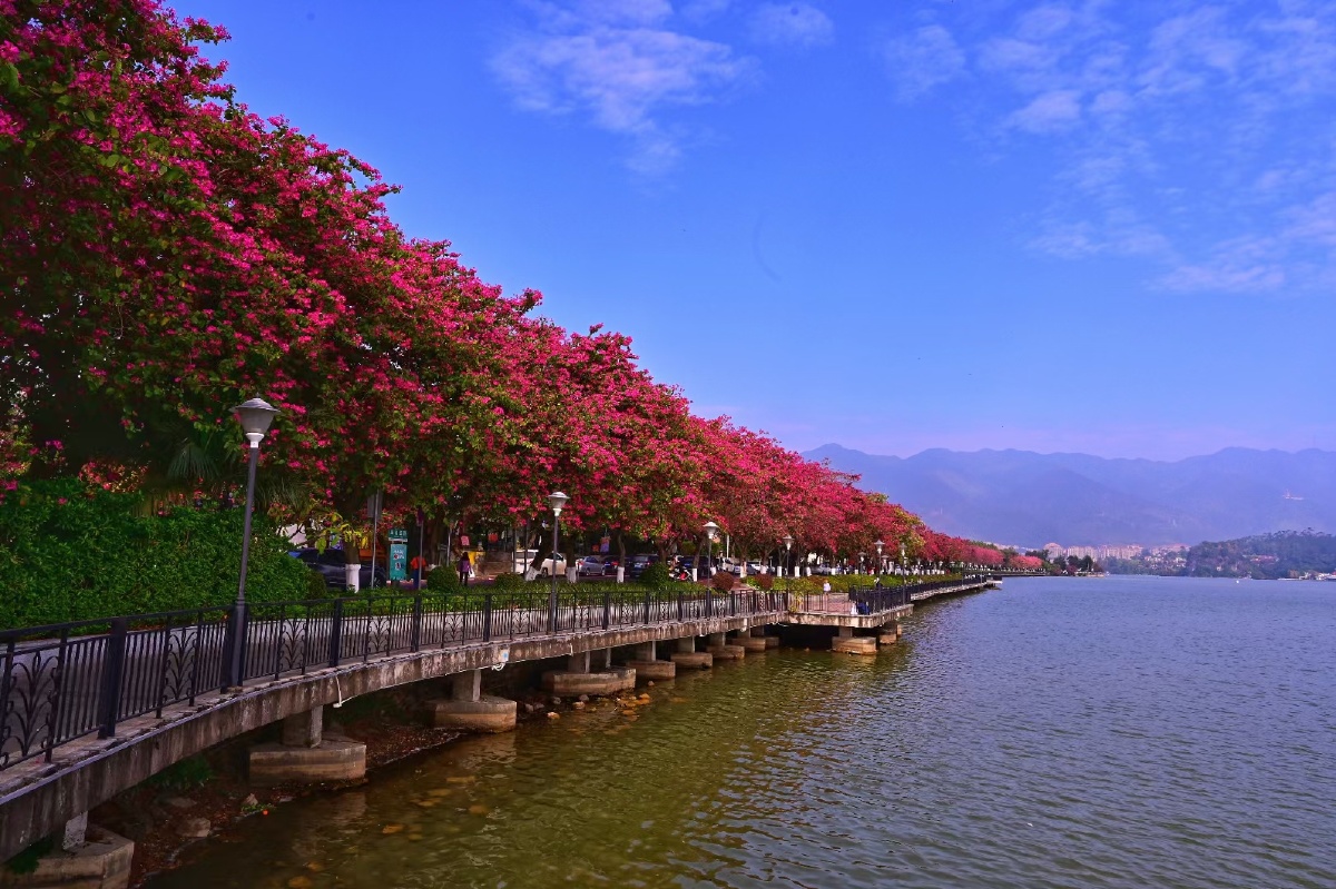 广东省肇庆市端州区网红绿道