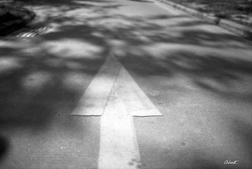 LUCKY SHD100 7