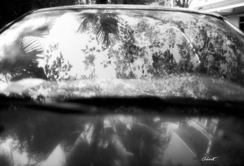 LUCKY SHD100 24