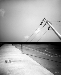 LUCKY SHD100 29