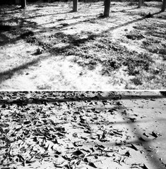 LUCKY SHD100 35