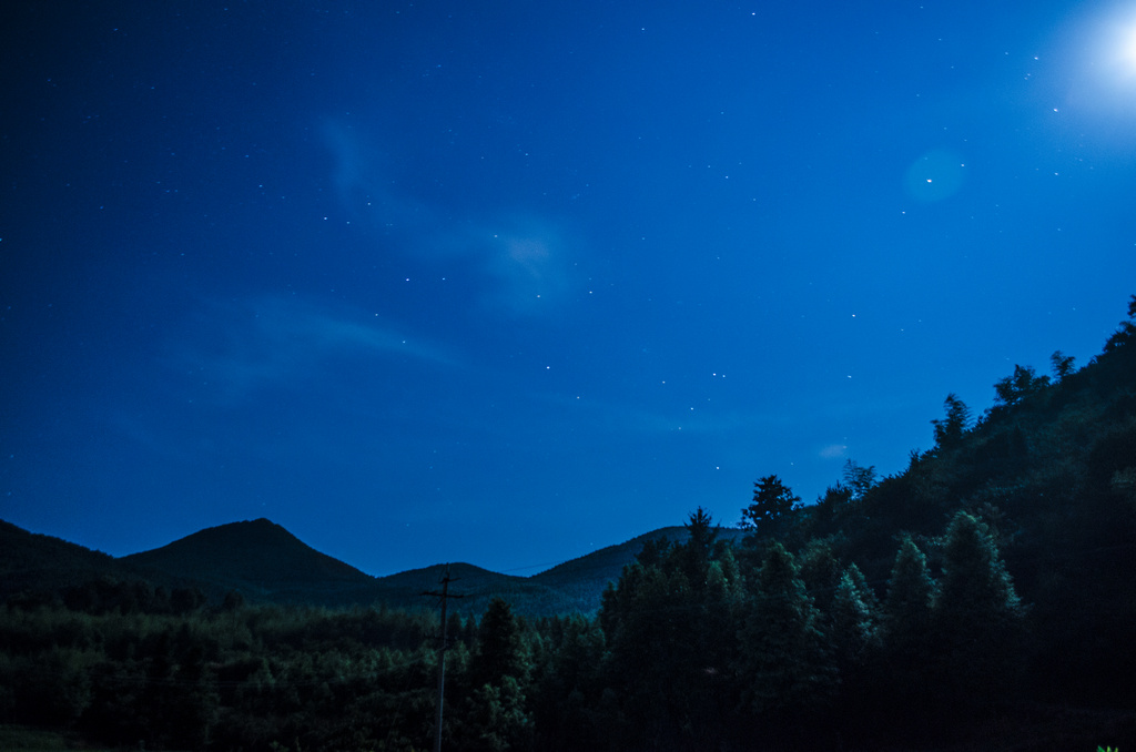 月光下的仲夏夜