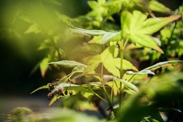 nEO_IMG_DSC_0020.jpg