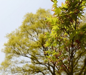 nEO_IMG_DSC_0031-3.jpg