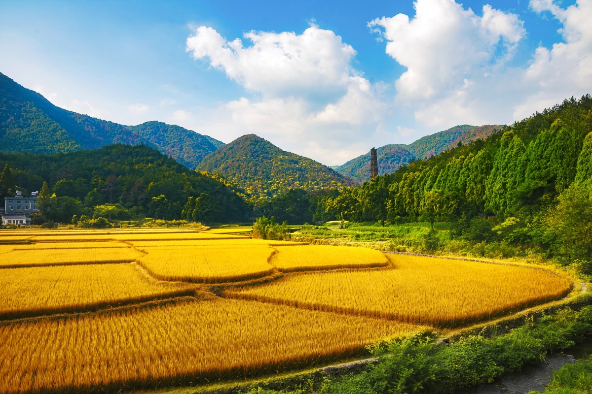 希望的田野天台