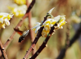IMGP8679_