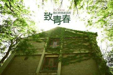 IMG_6279-编辑.jpg