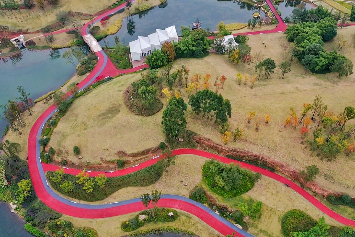 色彩摄于四川成都金堂淮口镇杨溪谷湿地公园