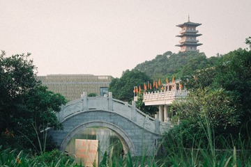 8FD59876-2BDE-4A45-B259-E9FF79BA8996/L0/001