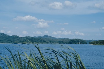 CC90E3BF-35BA-4DE2-8A64-8C301276A938/L0/001