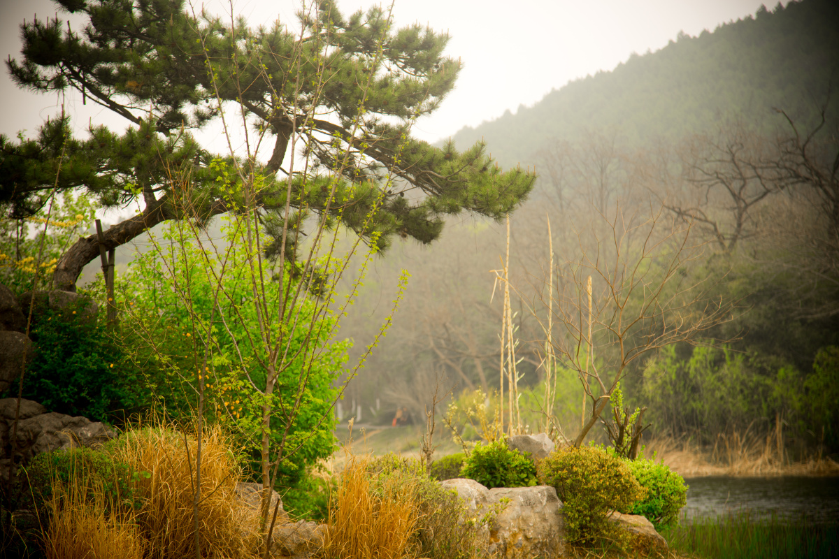 泉山森林公园美景