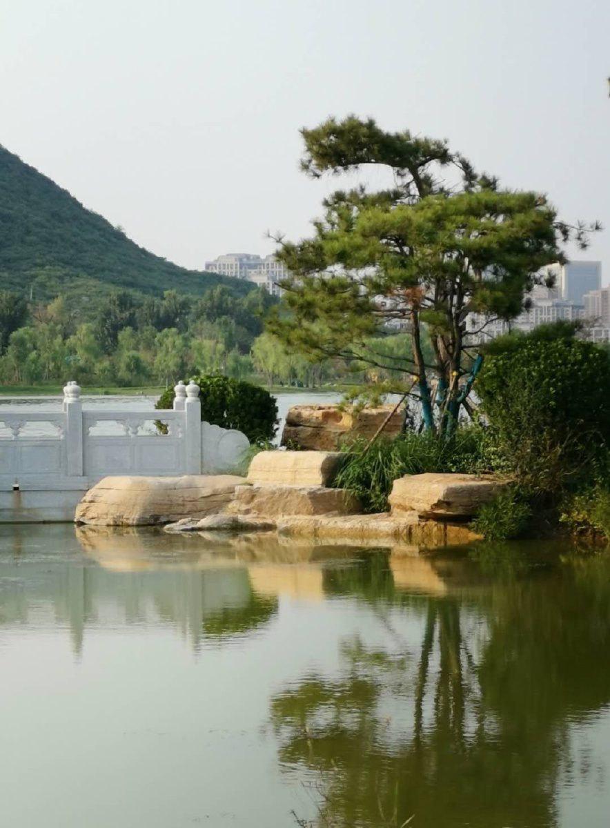 济南华山湿地公园远处山峰历史上称华不注山