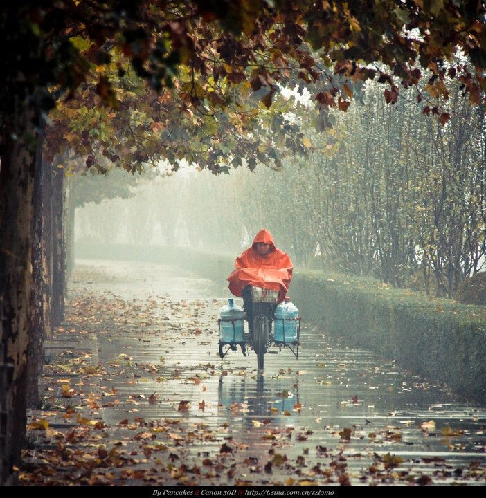 雨奔<br />
等了10分鐘終於來了個紅雨衣。
