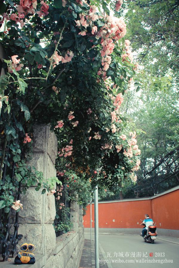 郑州百花里.这个城市最好听的街道名字,江南水乡的味道有木有.